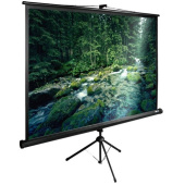 Экран Cactus CS-PSTE-220X165-BK