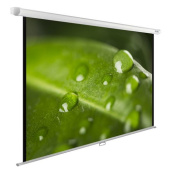 Экран Cactus CS-PSWE-200X150-WT