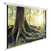 Экран Cactus CS-PSWE-220X220-WT