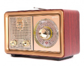БЗРП РП-324 УКВ 64-108МГц, бат. 2*R20, 220V, USB/microSD/AUX,лупа