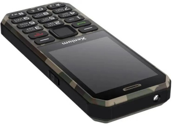 Мобильный телефон Xenium GSM X300 зеленый