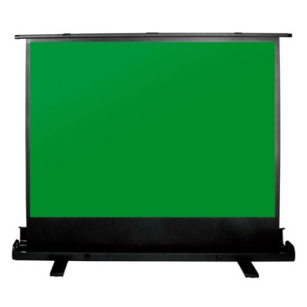 Экран Cactus CS-PSGFE-200X150