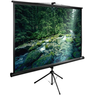 Экран Cactus CS-PSTE-220X165-BK